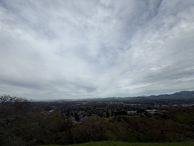 Under the Cloudy Skies of Walnut Creek