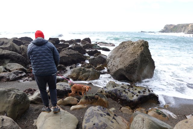 Man and his faithful dog exploring the rocky shores of Jenner