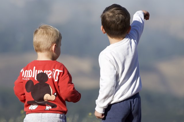 Two Young Boys Gazing Across Mount Diablo's Misty Valleys
