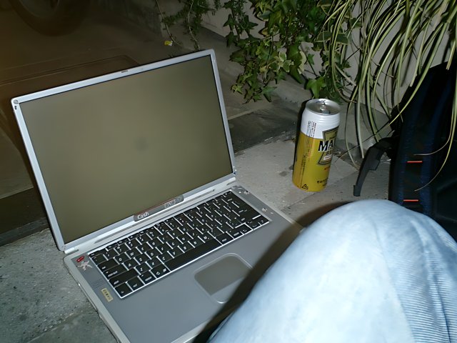 Laptop and Brew