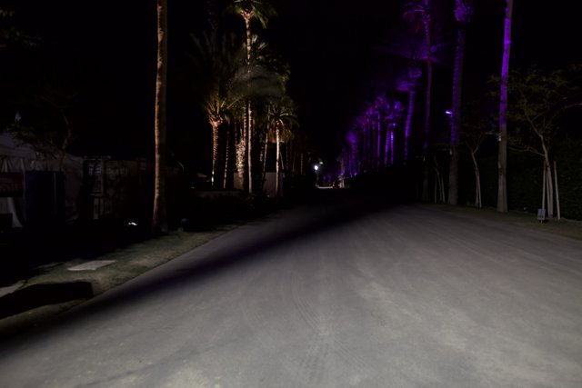 Purple Light Road