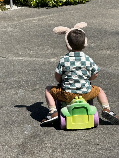 Urban Adventures on Tricycle Wheels