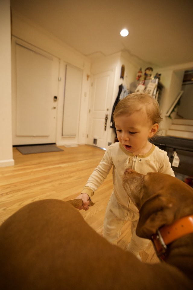 Toddler in Pajamas Exploring Living Room at Night