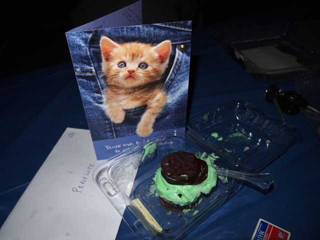 Feline Friend Cupcake