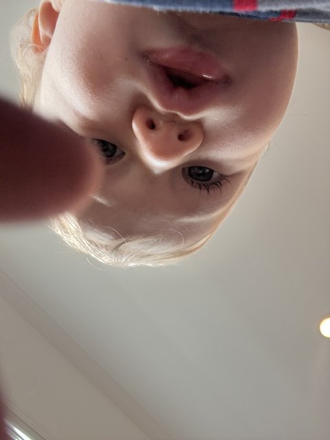 Curious Glimpses