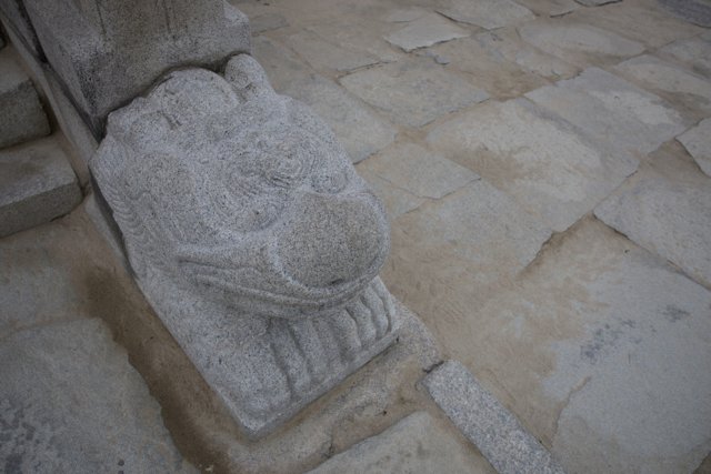 Majestic Korean Stone Lion Guarding the Pathway