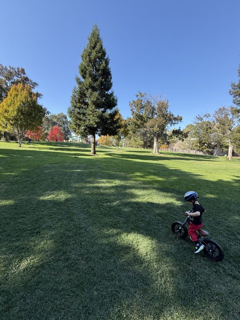 Pedal Adventures in Larkey Park