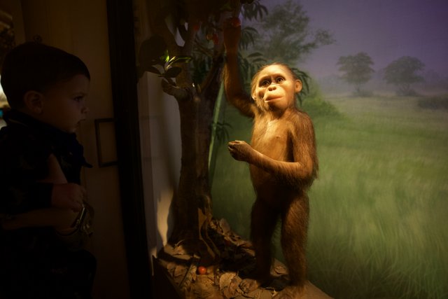 Wesley's Encounter with Chimpanzee Replica at the Academy of Sciences