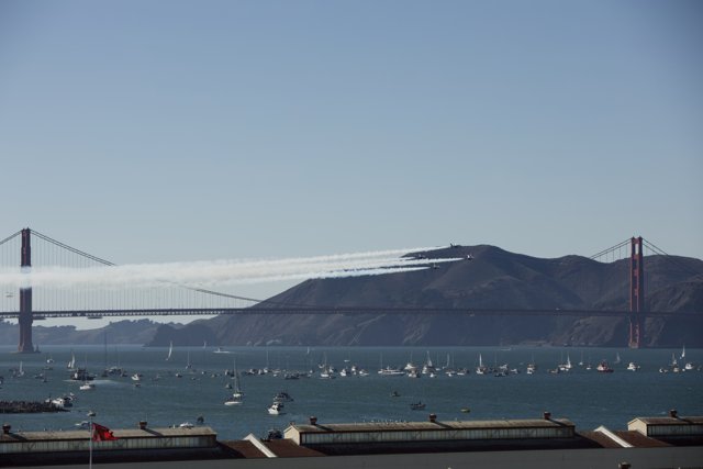 Golden Gate Splendor: Bay View Highlights