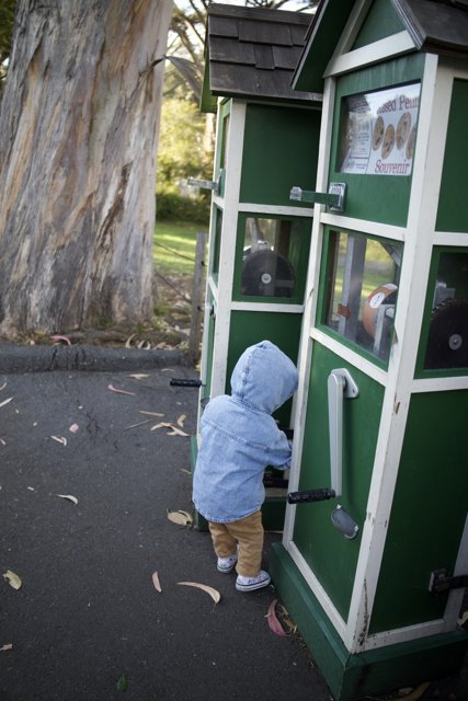 Little Explorer: The Curious Mind at SF Zoo