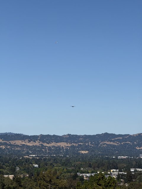 Flight Over Walnut Creek