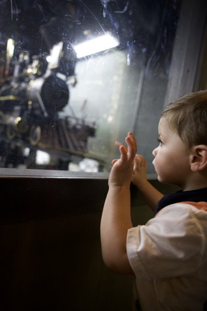 Captivated by Steam: Young Wonder at the Tilden Train