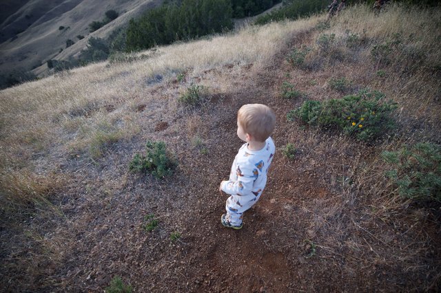Toddler Explorer Gazes Across Golden Hills at Dusk
