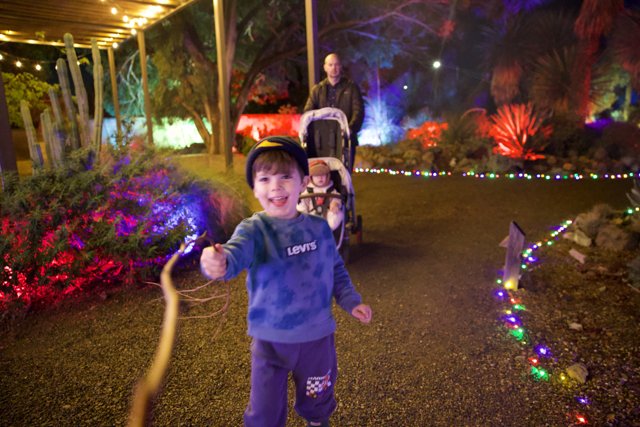 Garden of D'Lights: A Magical Evening Stroll