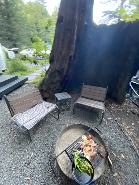 Summer BBQ in the Woods