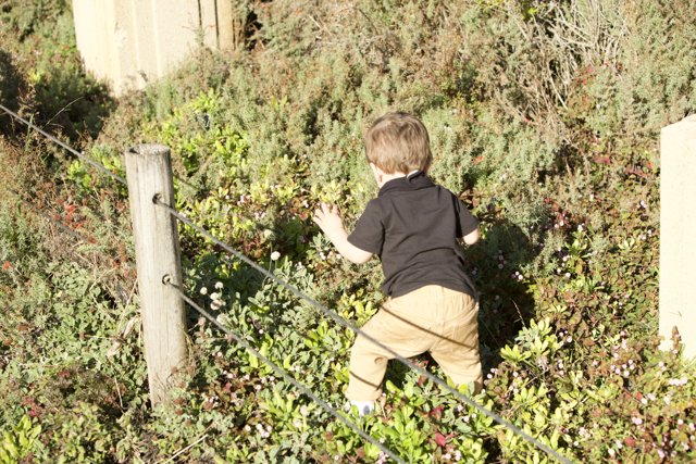 Childhood Exploration in Nature