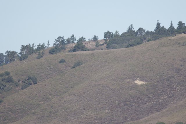 Tranquil Highlands of Carmel Valley