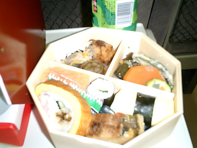Delicious Train Meal in Tokyo