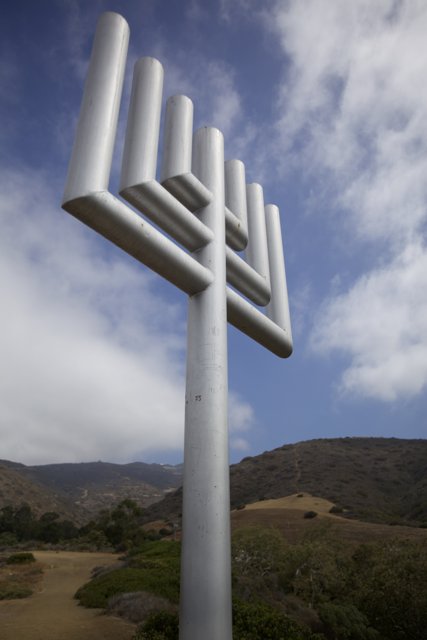 The Menorah on the Hill