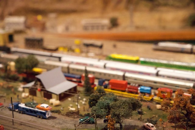 Miniature Marvels at Walnut Creek