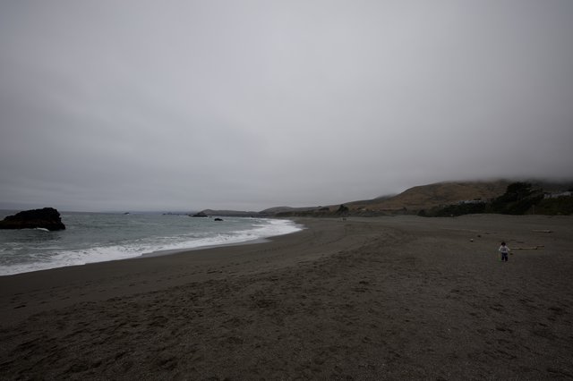 Foggy Northern California Coastline on Father's Day