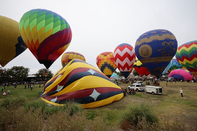 Colorful Hot Air Balloons Fill the Skies at Festival