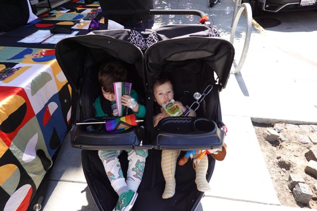 Sunny Stroller Moments