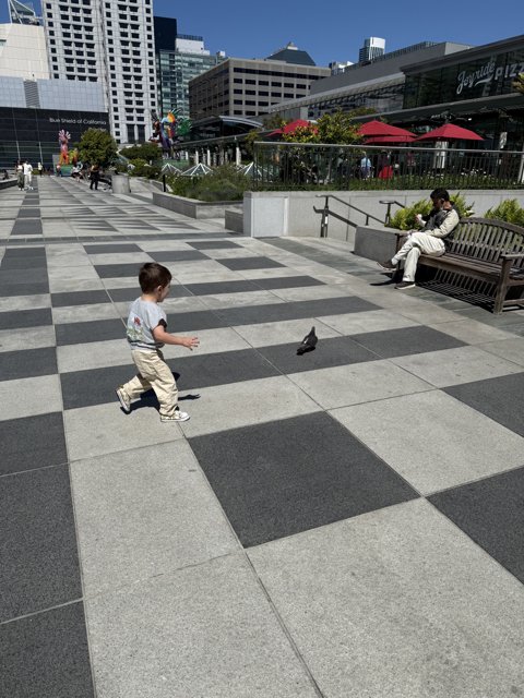 Urban Innocence