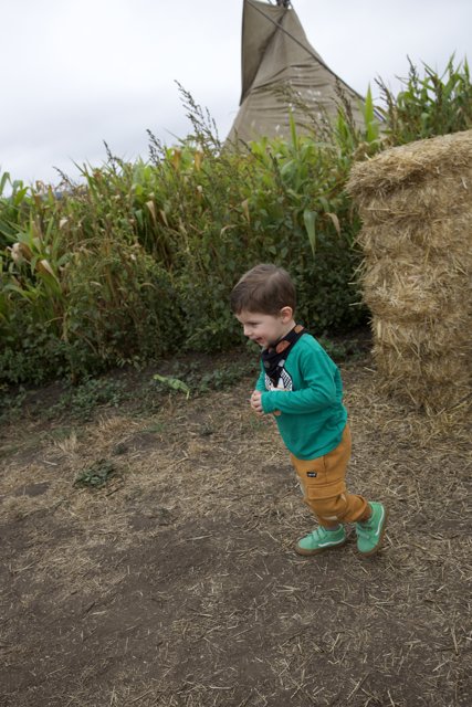 Little Explorer in the Countryside