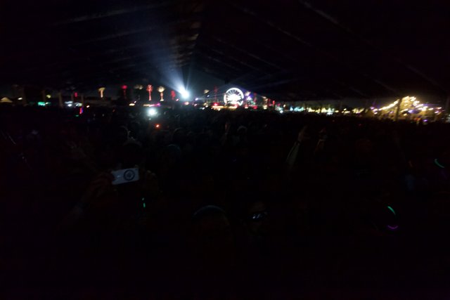 Electrifying Crowd at Coachella 2012