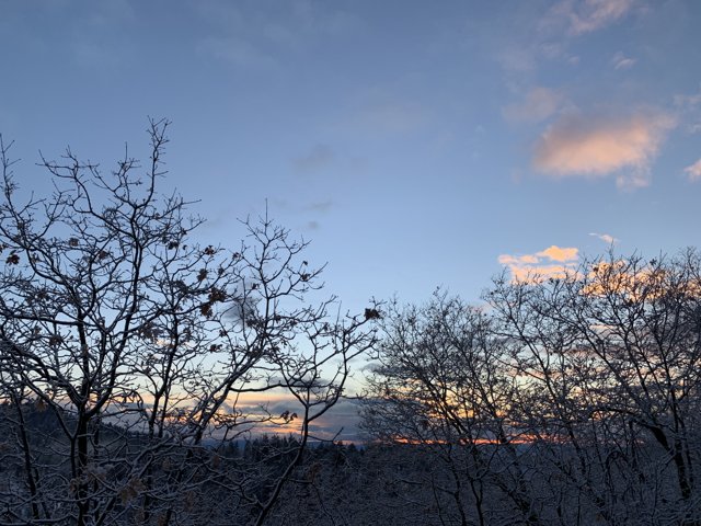 Winter Sunset in San Bernardino National Forest