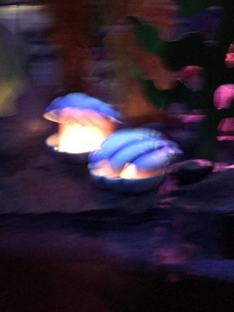 Illuminated Seashell