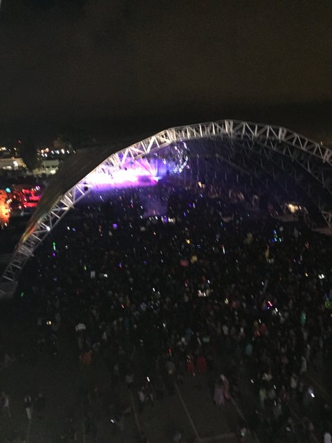 Nighttime Metropolis Crowd at San Bernardino Concert