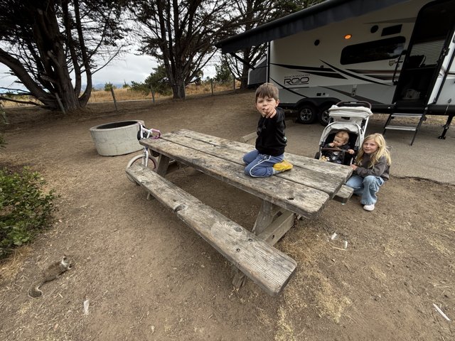 Morning in Cambria