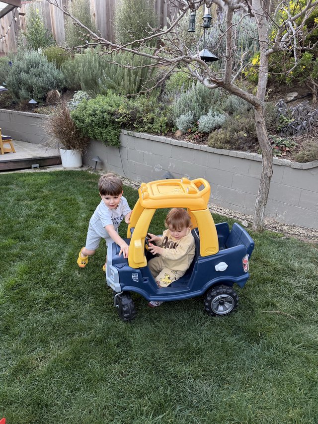 Brothers Playing in Toy Truck in Backyard Garden