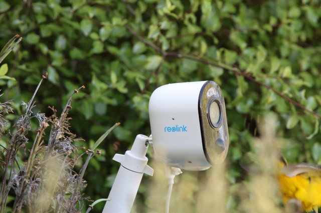 Reolink Security Camera Mounted in Garden Setting