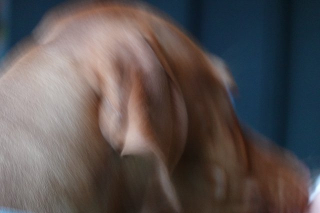 Motion Blur Portrait in Blue Light