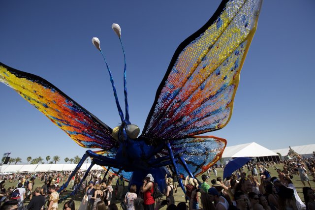 Butterfly Sculpture Takes Flight at Coachella