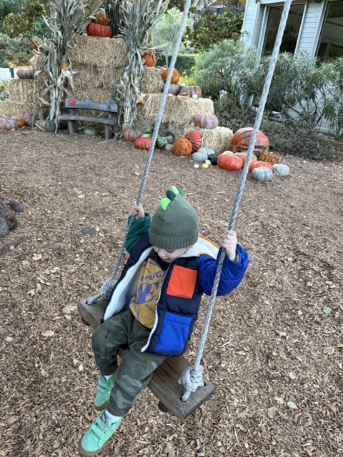 Autumn Swing Adventure