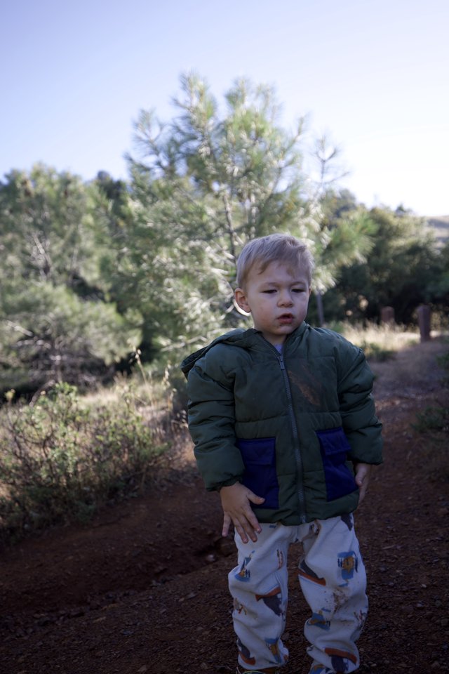 Young Explorer on a Sunlit Mountain Trail