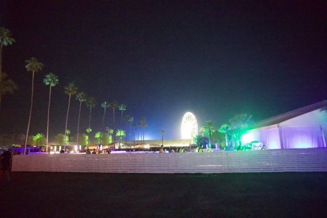 Palm Silhouettes and Neon Lights at Coachella 2024