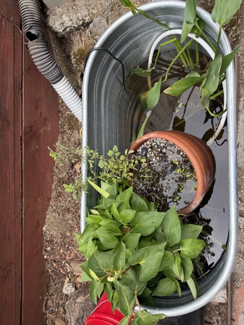 Urban Garden Retreat