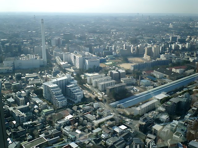 Tokyo Metropolis from Above