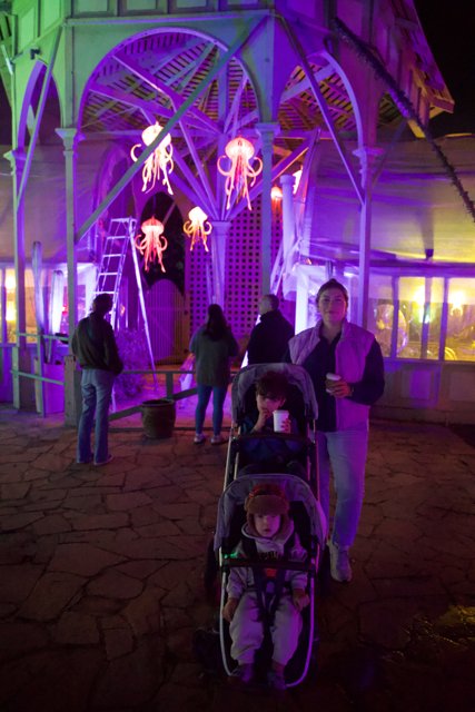 Enchanted Evenings at the Garden of D'Lights