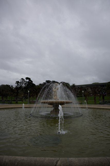 Serene Fountain Scene at California Academy of Sciences
