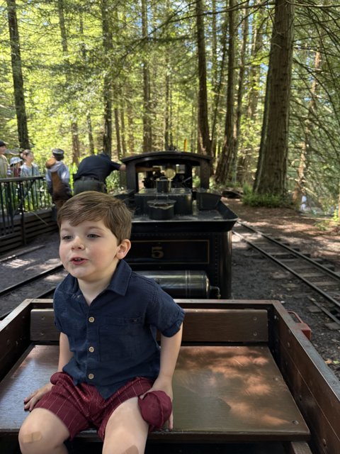 Joyful Adventure on the Woodland Express
