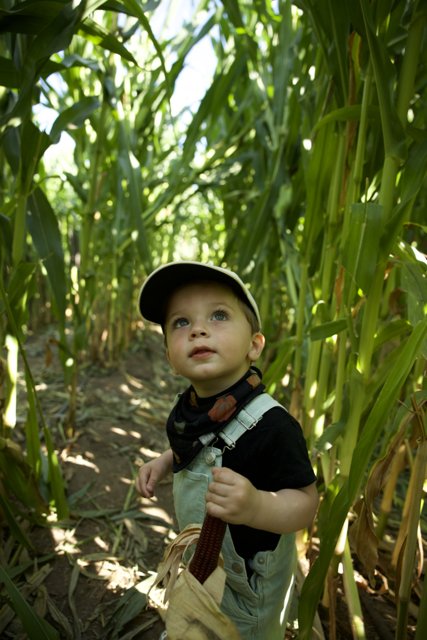 Rustic Charm - A Day in the Cornfield with Wesley