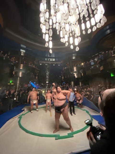 Sumo Wrestling Under the Chandelier
