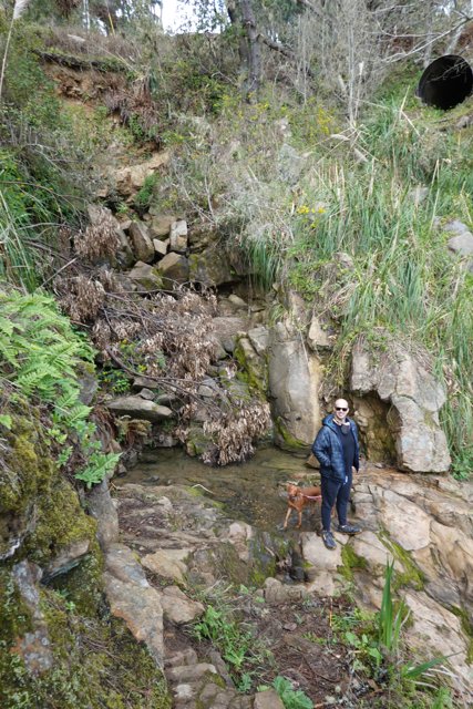 Man and Dog Explore Rocky Creek
