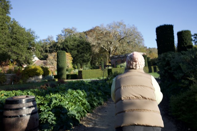 Tranquil Stroll through Thistlewyck Gardens